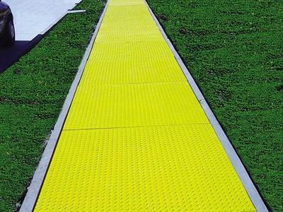 道路草坪丝瓜视频黄色APP應用